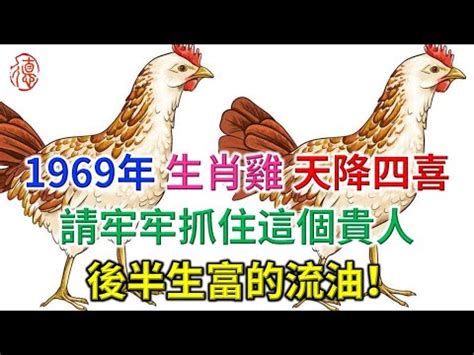 1969年屬雞|生肖雞：1969年是什麼命？